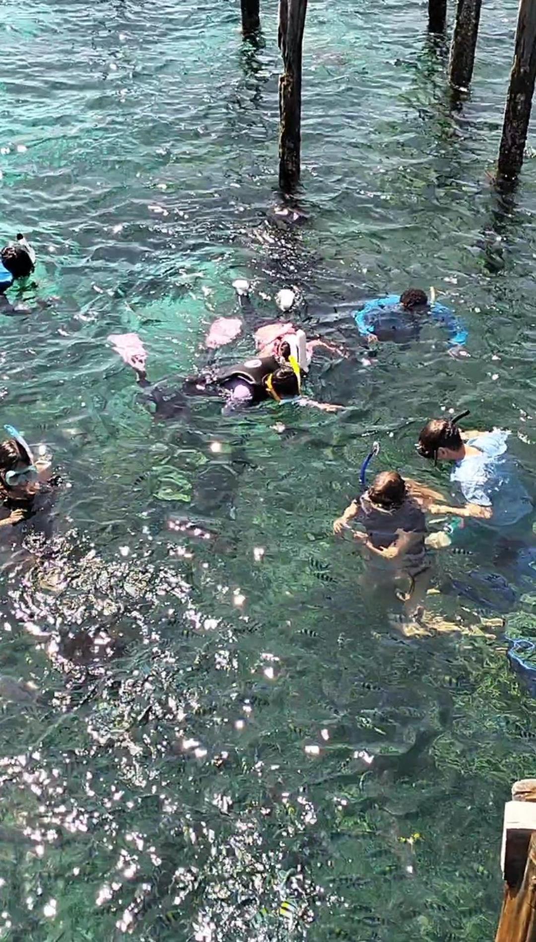 Bruno Raja Ampat Homestay Pulau Mansuar Zewnętrze zdjęcie